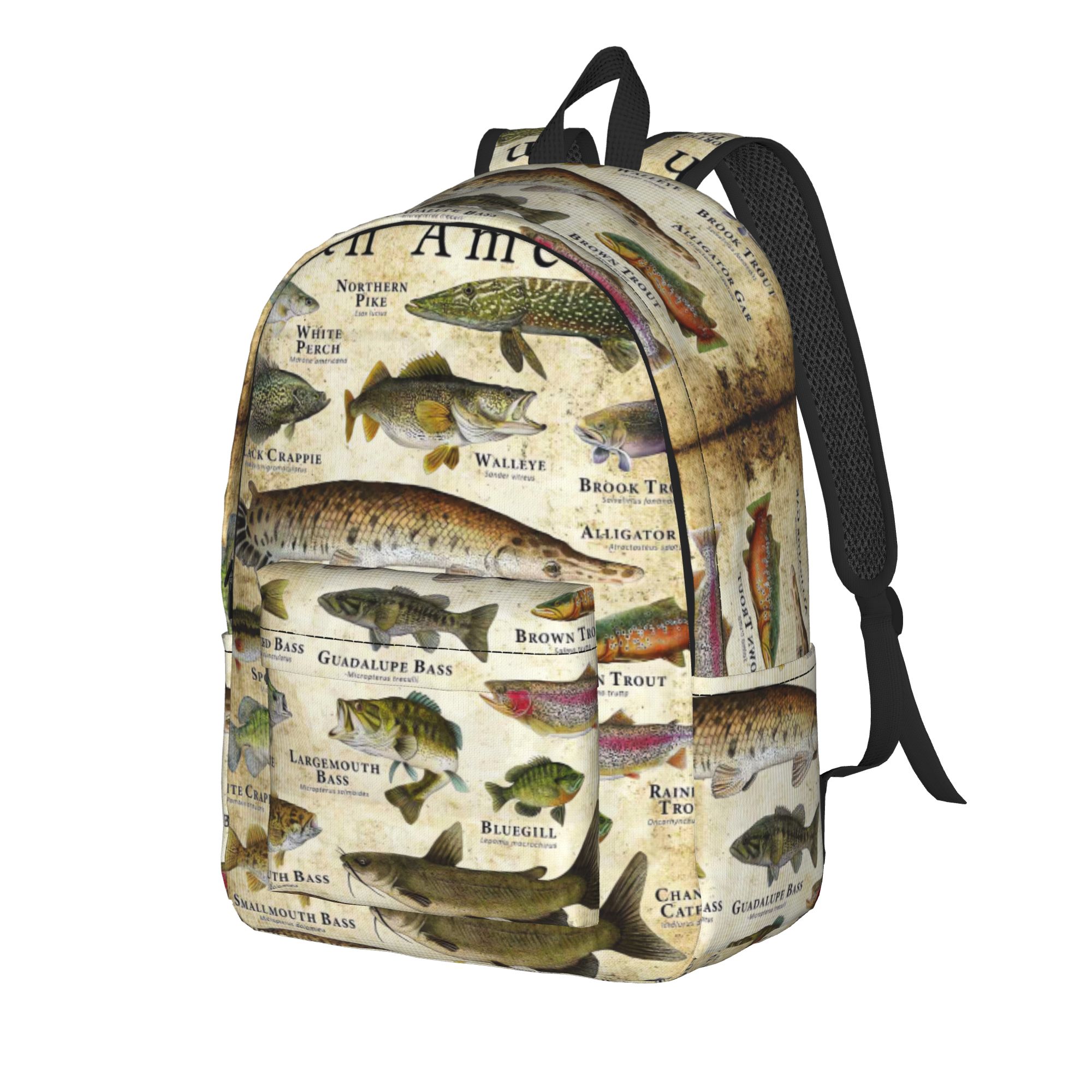 Mochila educativa con alfabeto - Interior Design Education reseña y precio