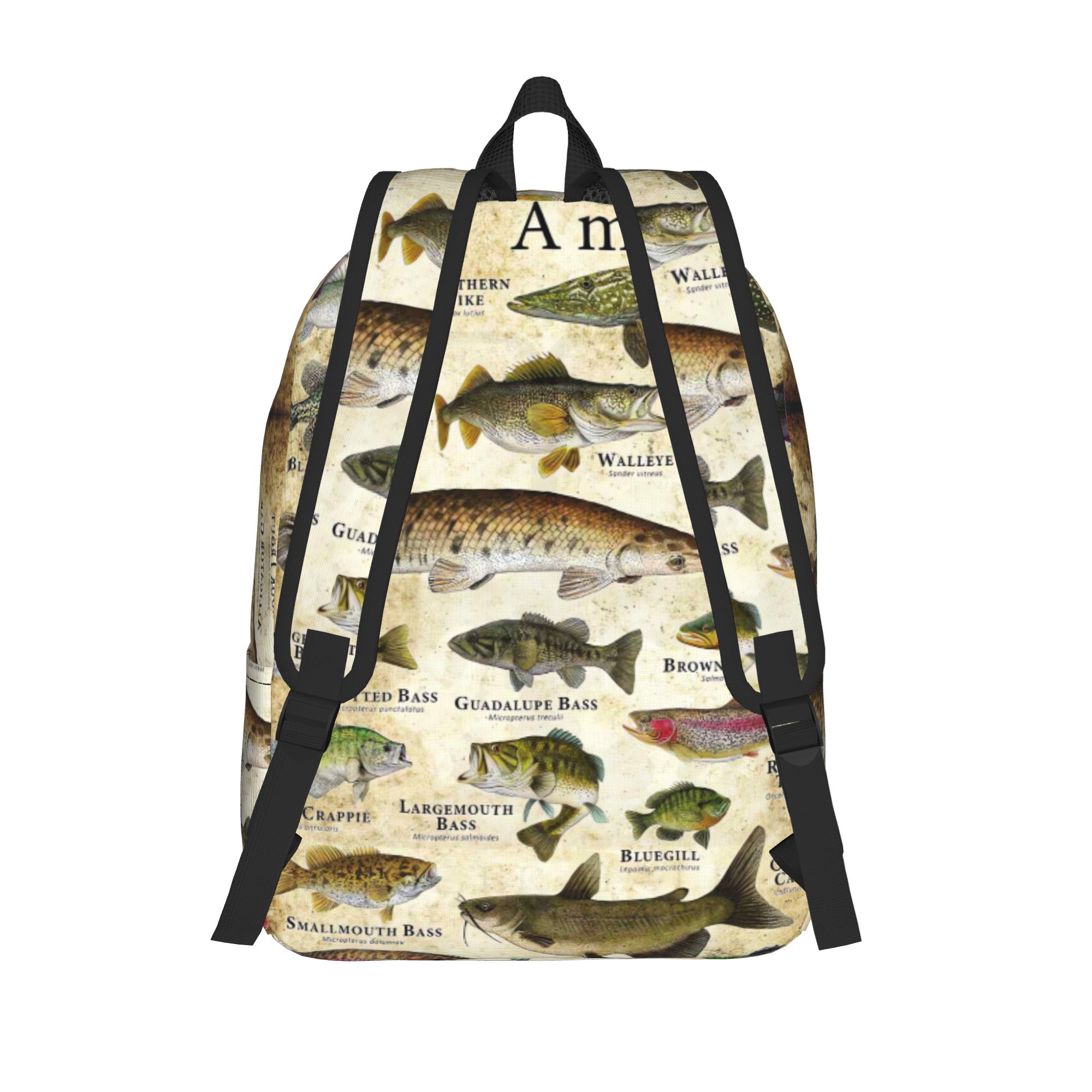 Mochila educativa con alfabeto - Interior Design Education reseña y precio